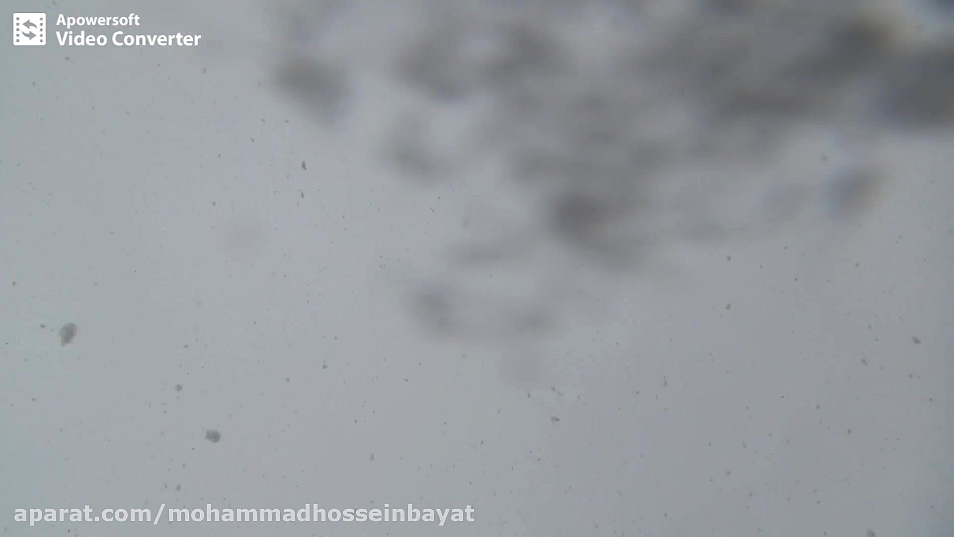 دانه های درشت برف در حال بارید...