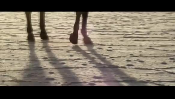 فیلم بلک تورن پارت سوم