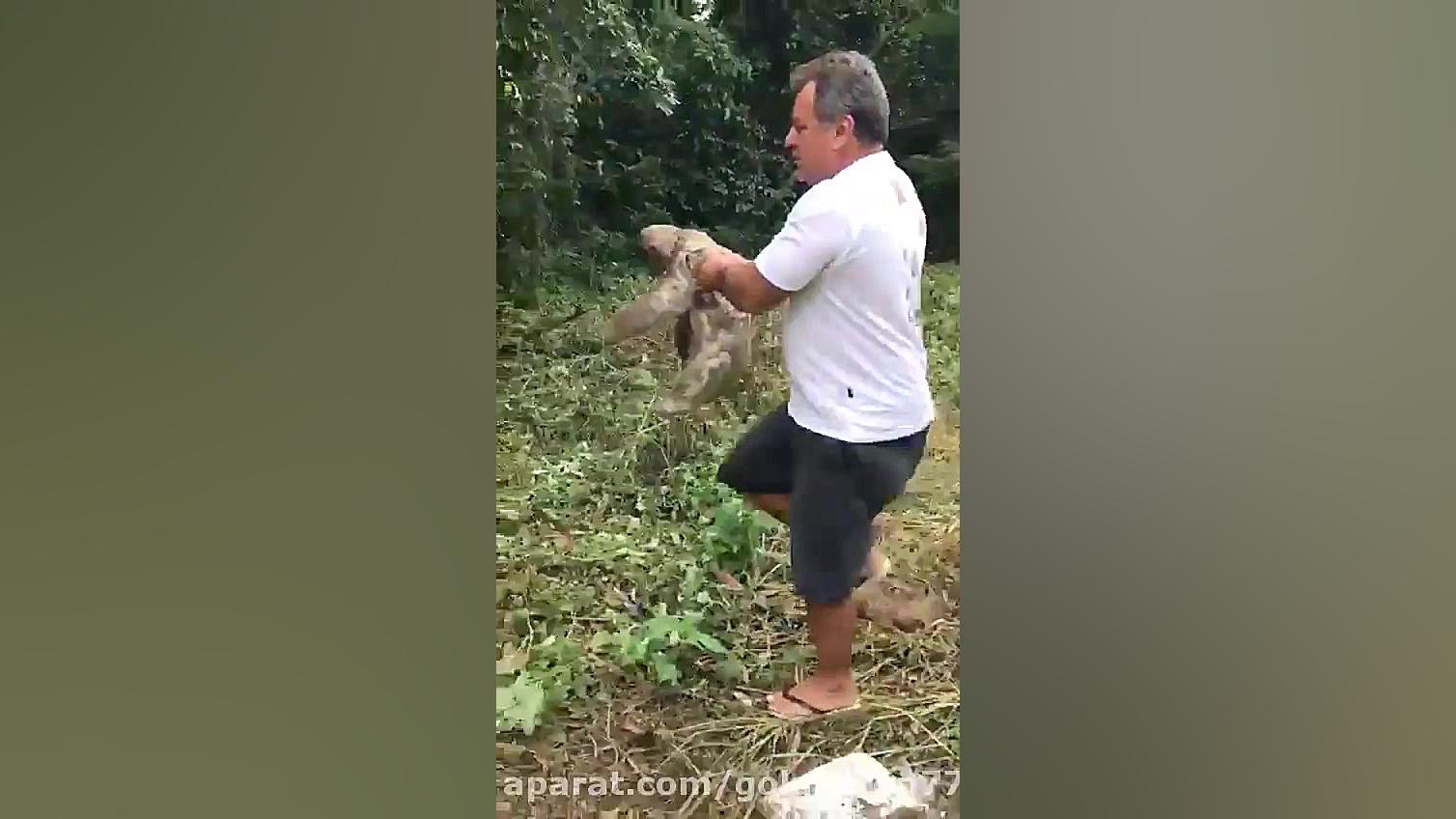 تنبله خنده دار