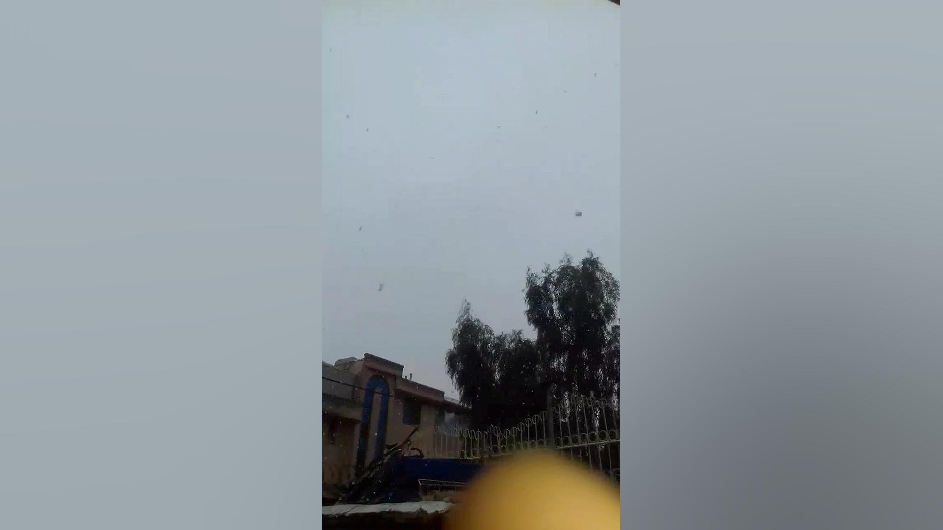 برف در شیراز