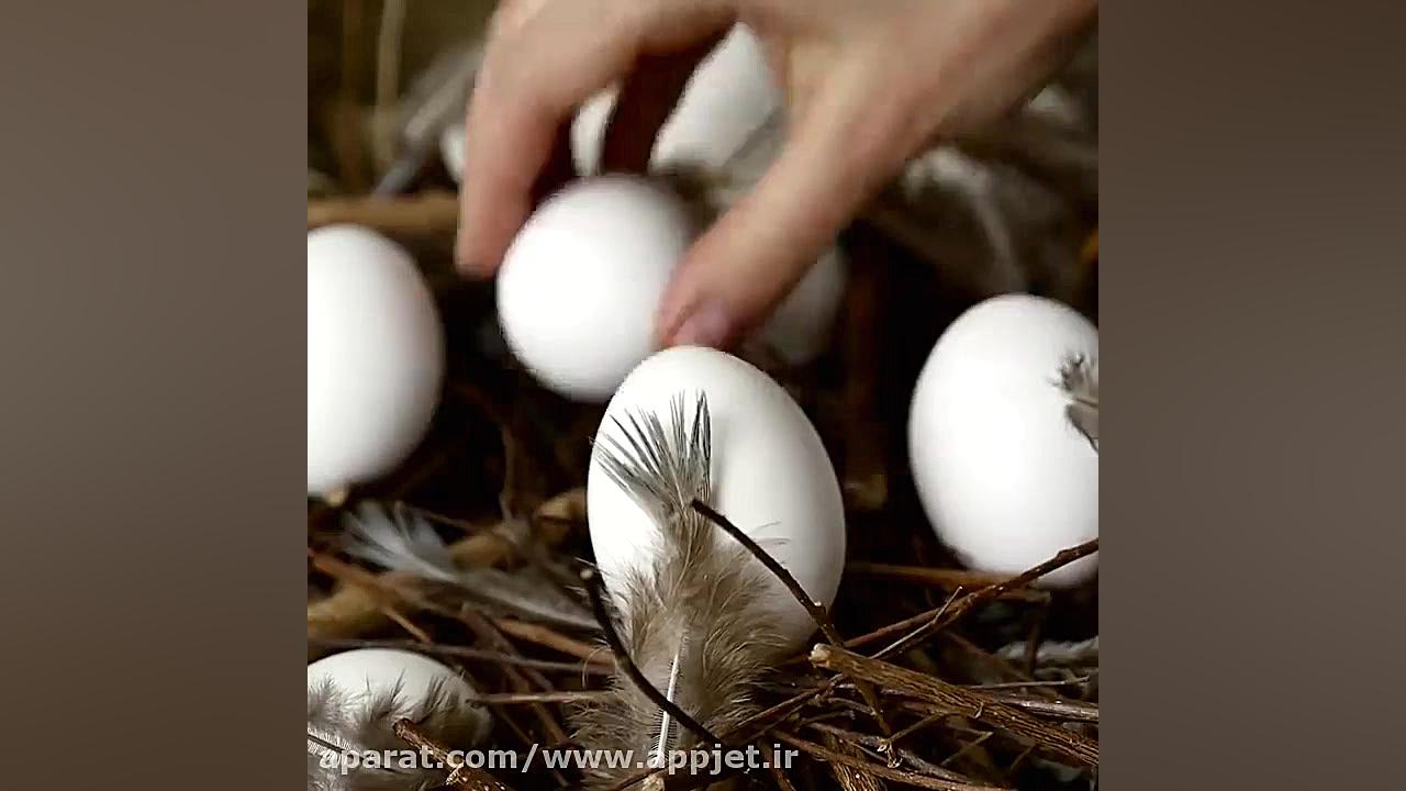 34 ترفند جالب برای ساده کردن ز...