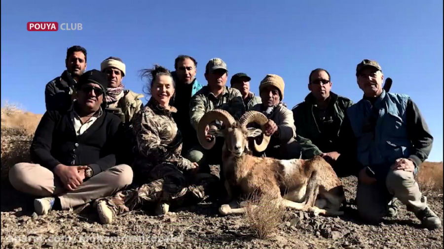 وقتی غریزه شکارچیان توسط محیط...