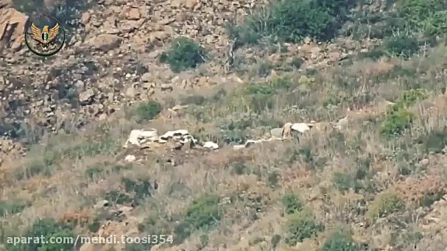 جبل ترکمان شمال لاذقیه هدف قرا...