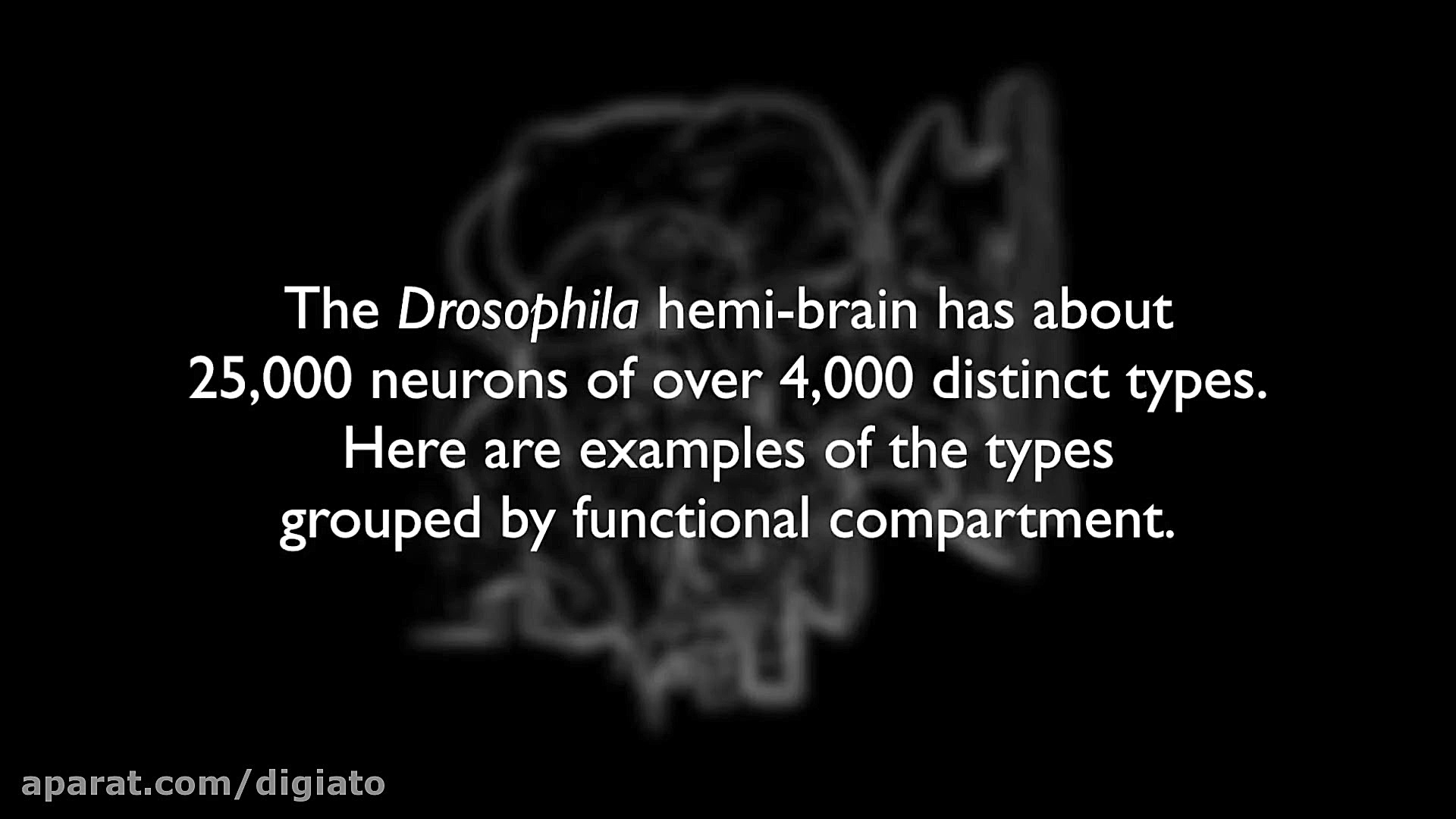 گوگل با کیفیت ترین نقشه سه بعد...