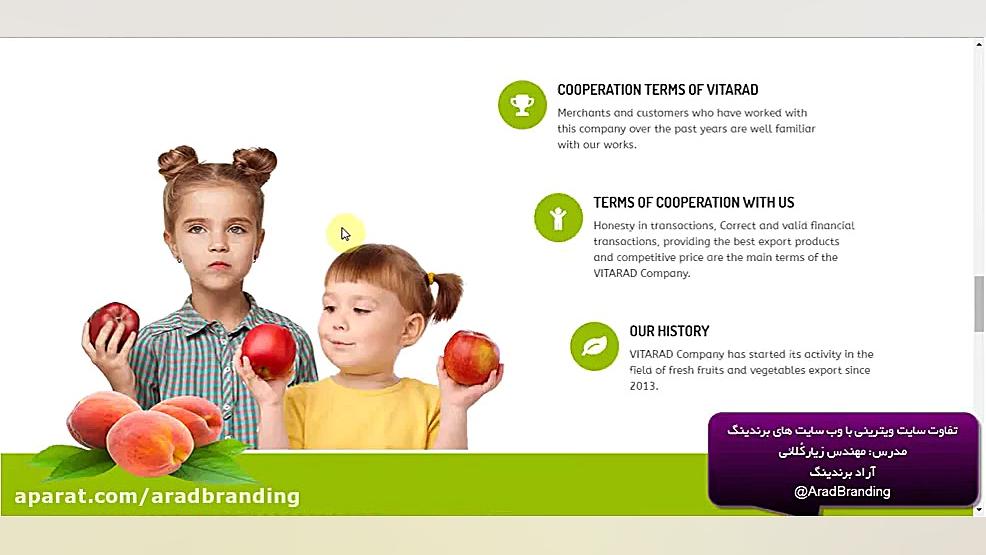 تفاوت سایت ویترینی با سایت برن...