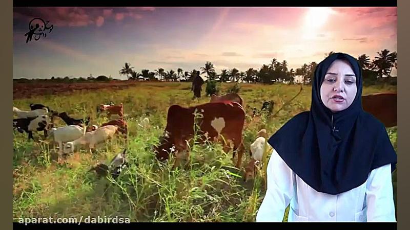 آزمایشگاه علوم ششم دبستان آموز...