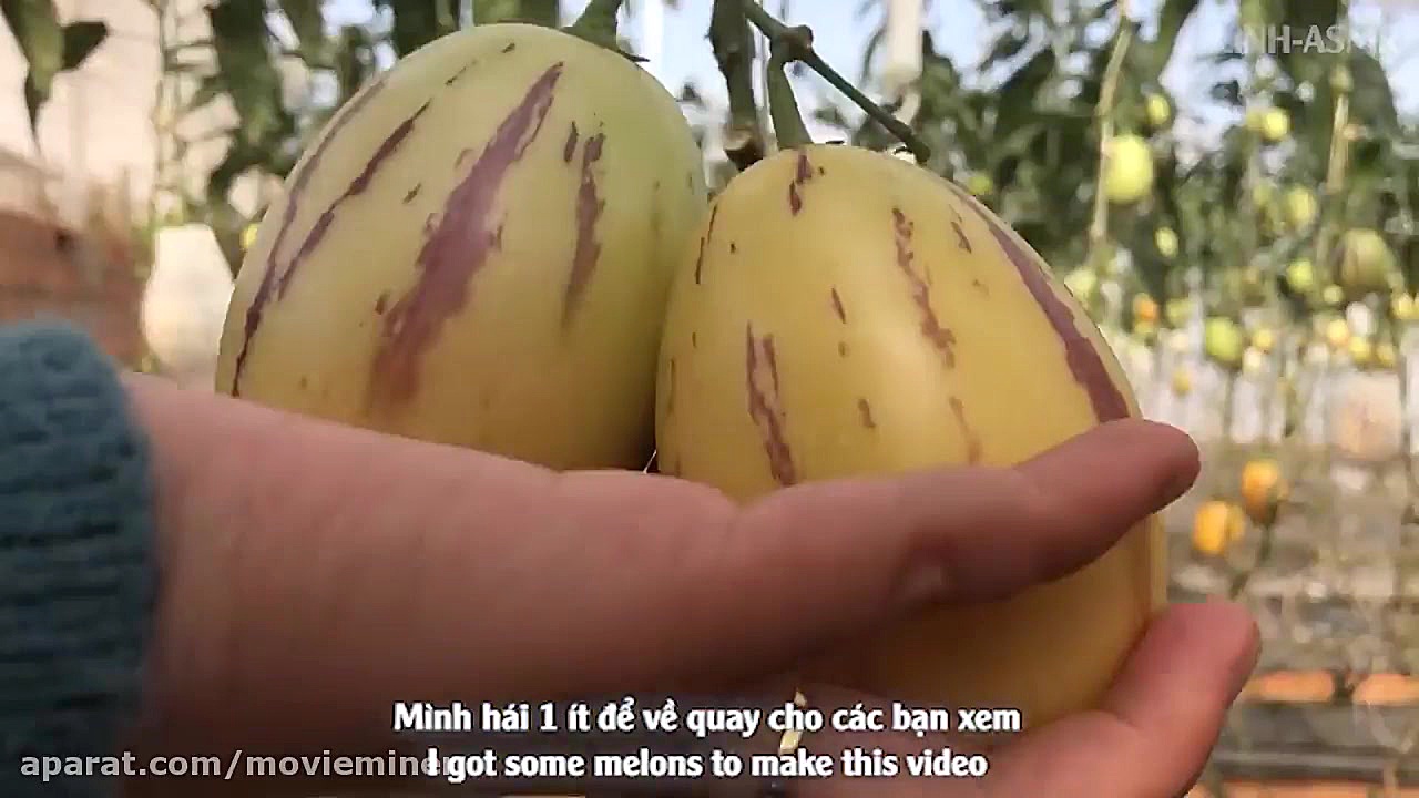 اسمر فود  چالش غذاخوری (خربزه...