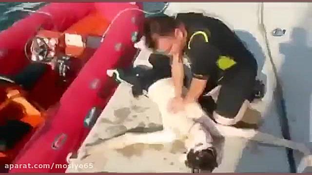 احیای قلبی ریوی واقعی!!!