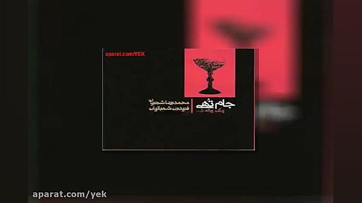 آهنگ محمدرضا شجریان دلم دلم