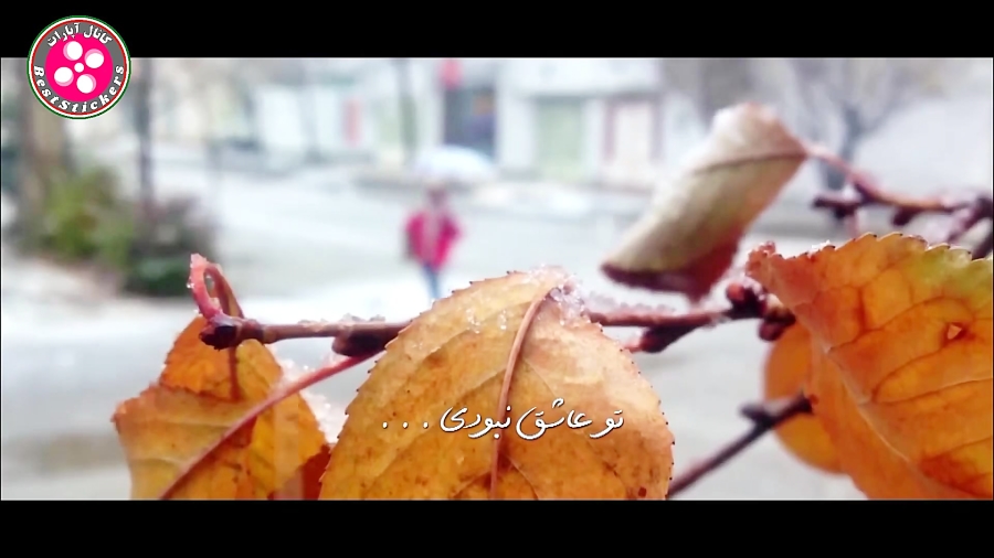 کلیپ زیبای  زمستون  با صدای بس...