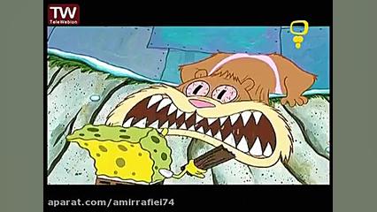 کارتون باب اسفنجی  بقای بی عقل...