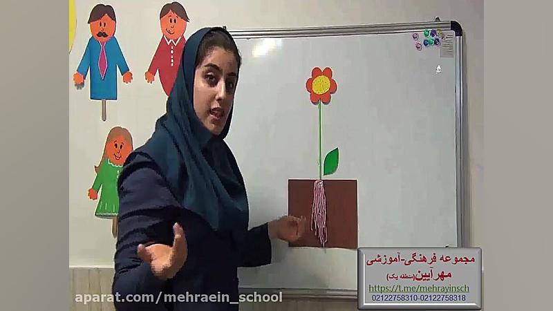 مراحل رشد گیاهان. پایه پیش دبس...