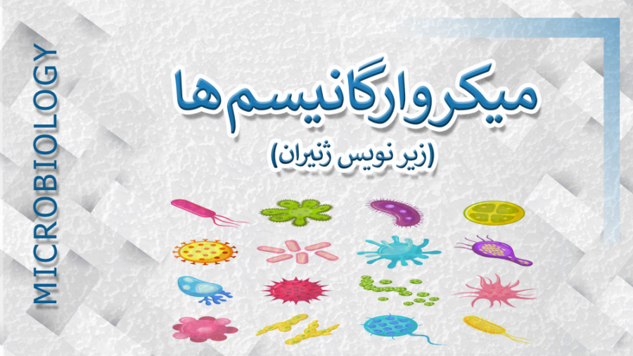 میکروارگانیسم ها  زیر نویس ژنی...