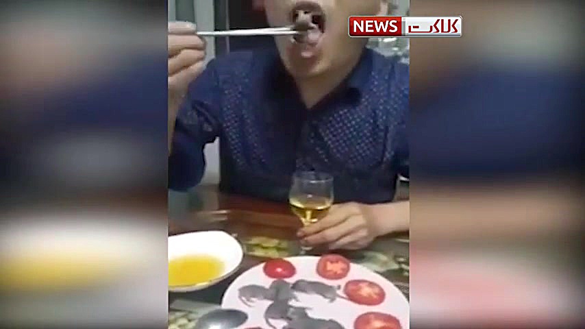 چرا ویروس کرونا از چین شروع شد...