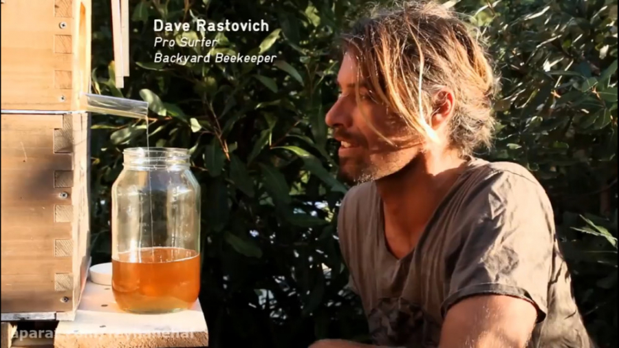 یک نمونه کندوی عسل مدرن که جاش...