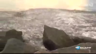 فرار ماهی ها از کوسه ها ...