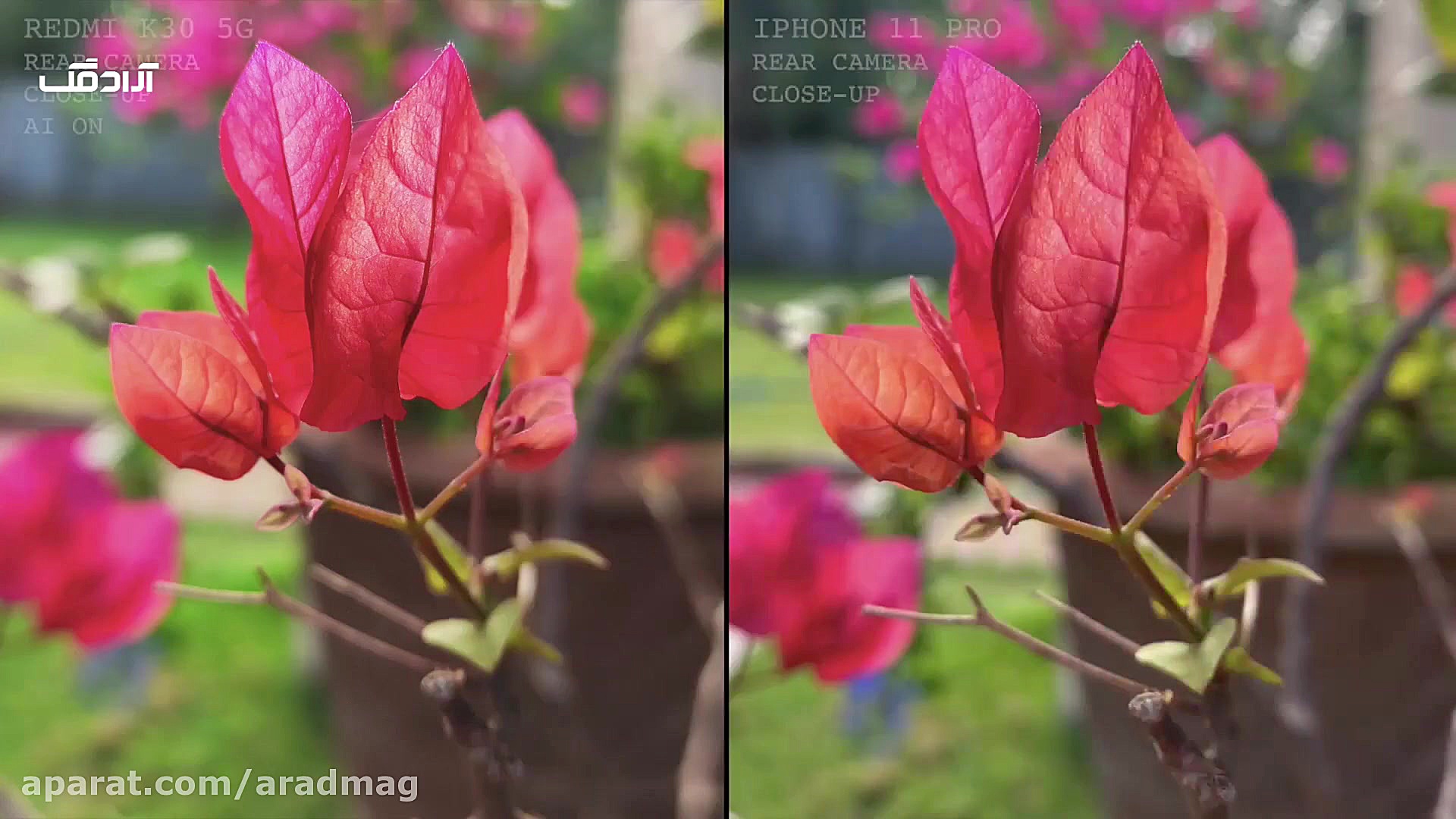 مقایسه دوربین آیفون 11 پرو و ر...