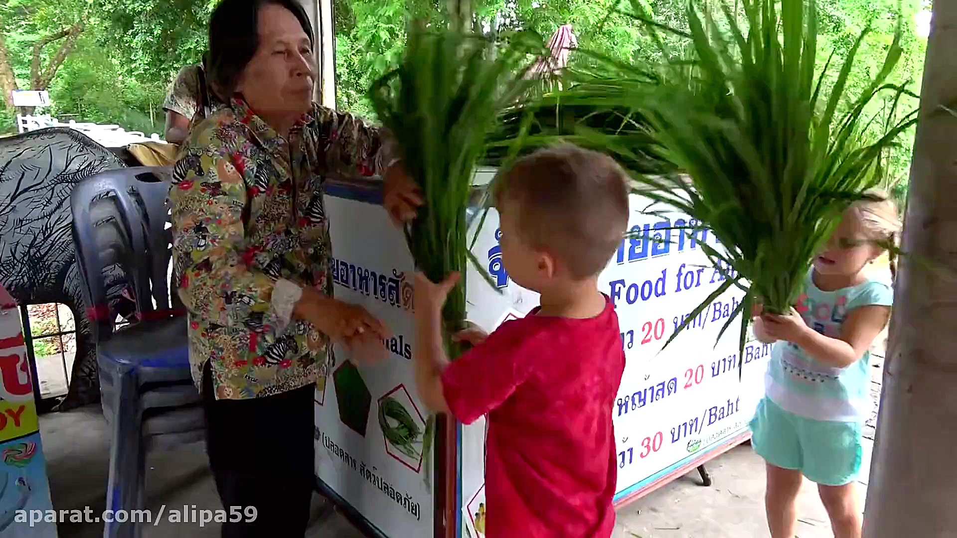 دیانا و روما رفتن به باغ وحش ه...