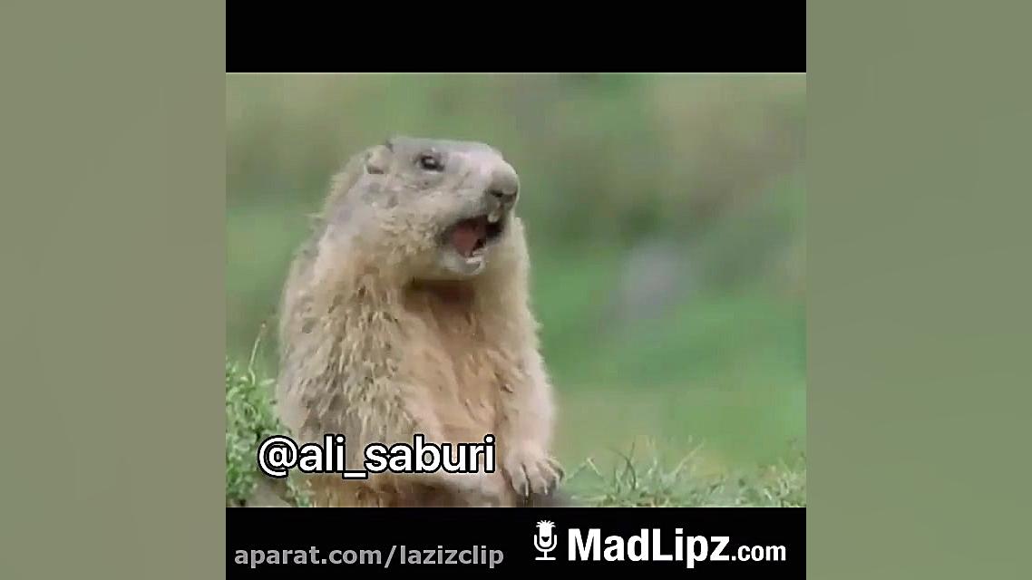 کلیپ طنز و خنده دار علی صبوری...