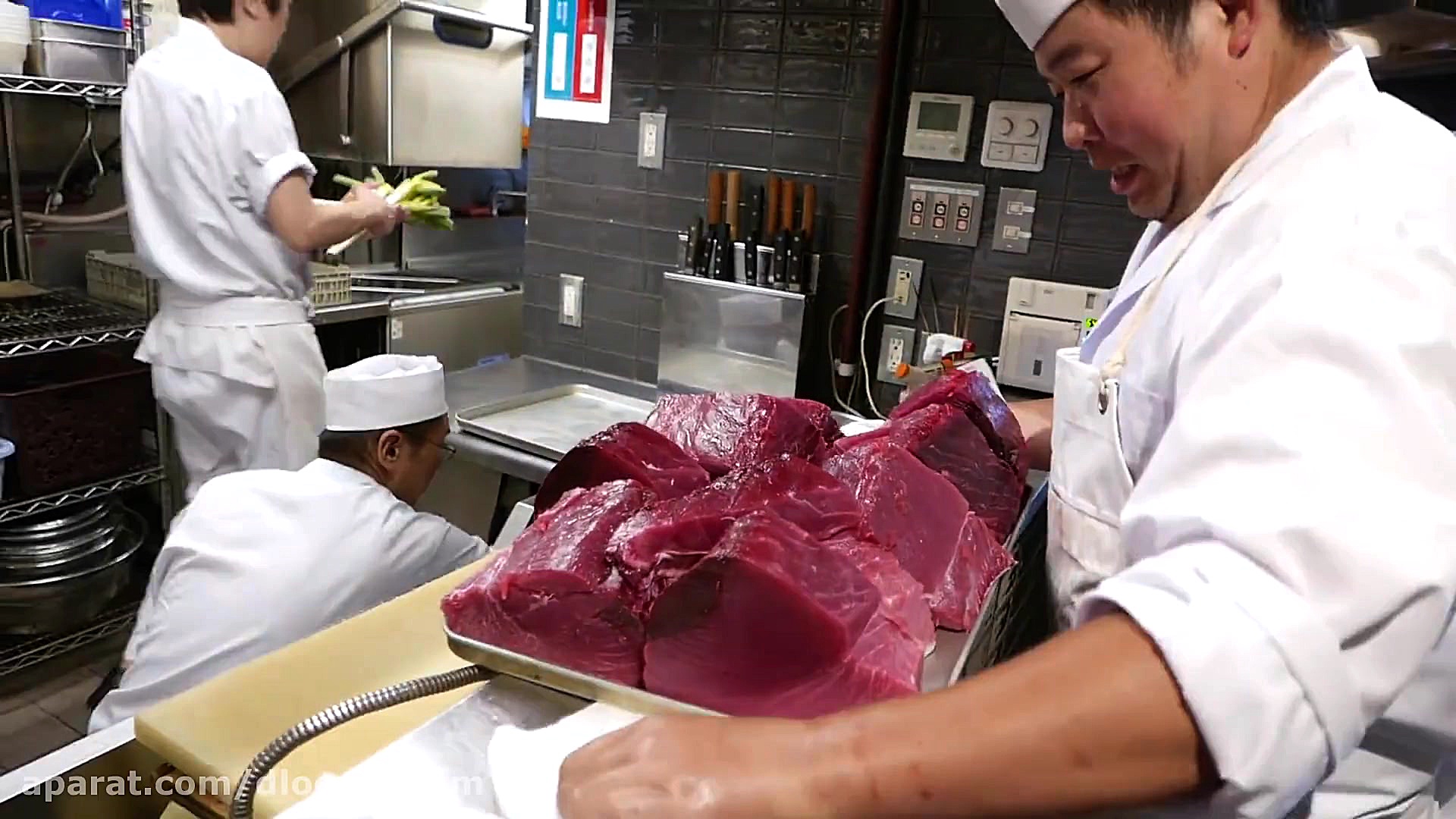 جاذبه های غذایی  GIANT باله آب...