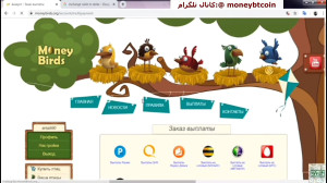 بهترین سایت درآمد زایی سایت ما...