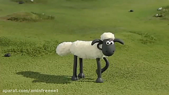 بره ناقلا (( 21 ))