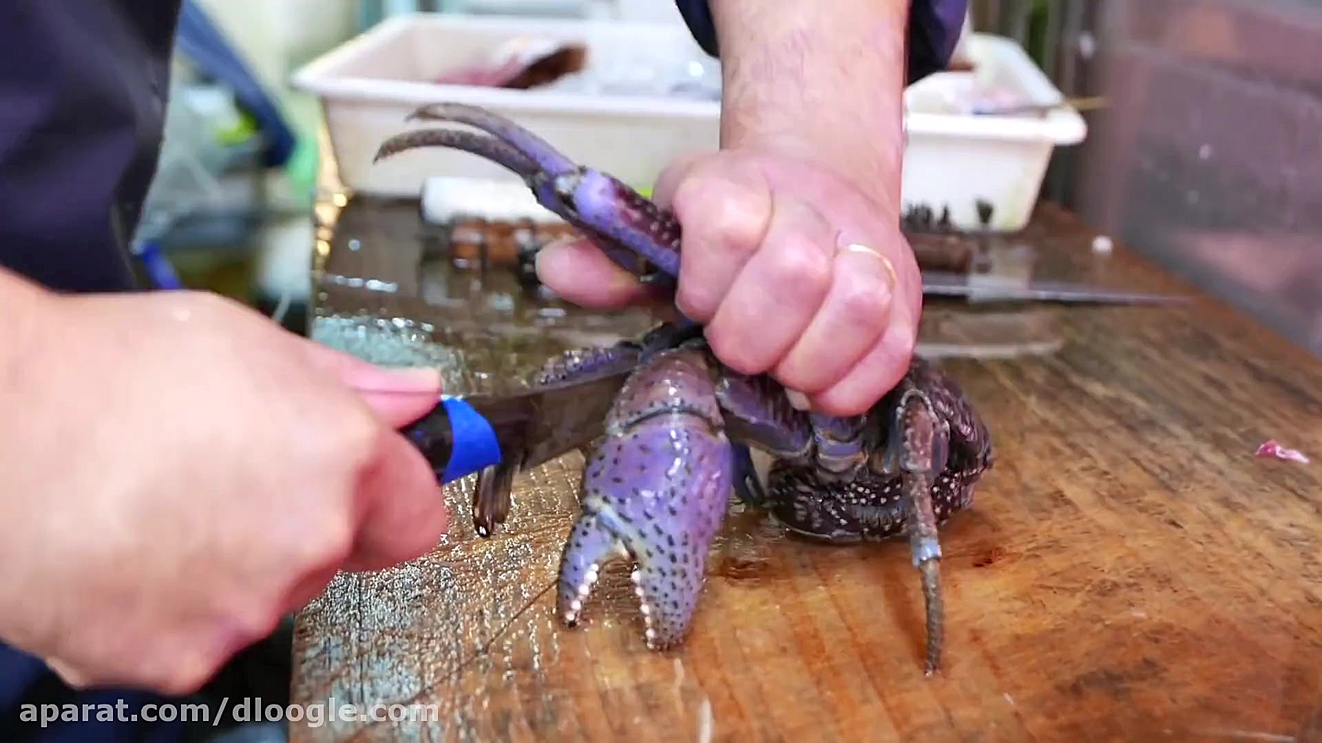 جاذبه های غذایی  نارگیل خرچنگ...