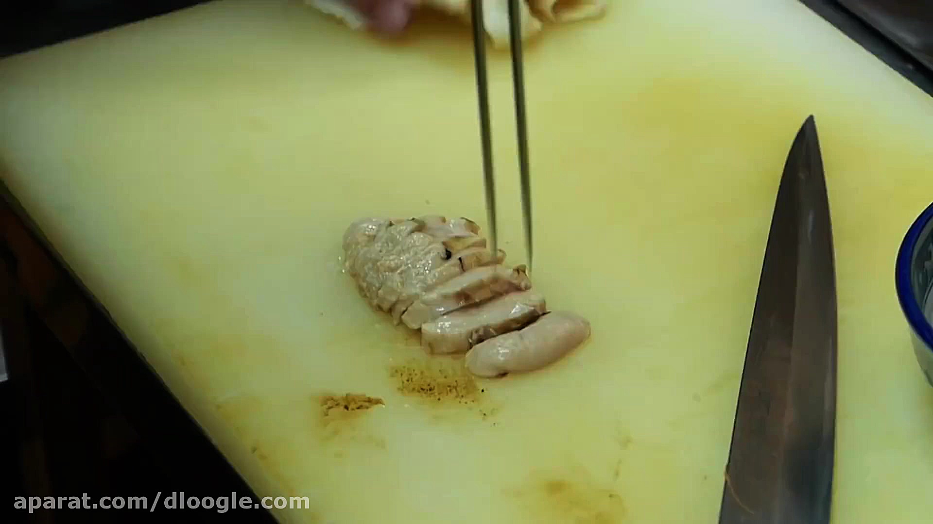 جاذبه های غذایی  ماهی بیگانه G...