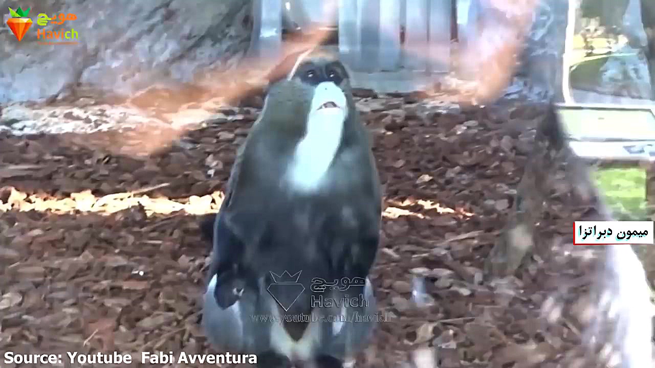 پولدار می شوید اگر فقط یکی از...