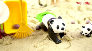 Various Activities in the Sand...