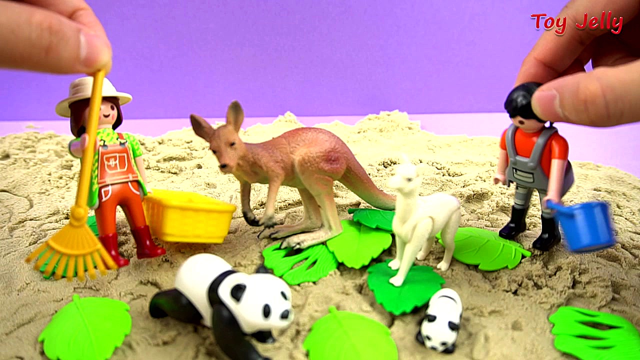 Various Activities in the Sand...