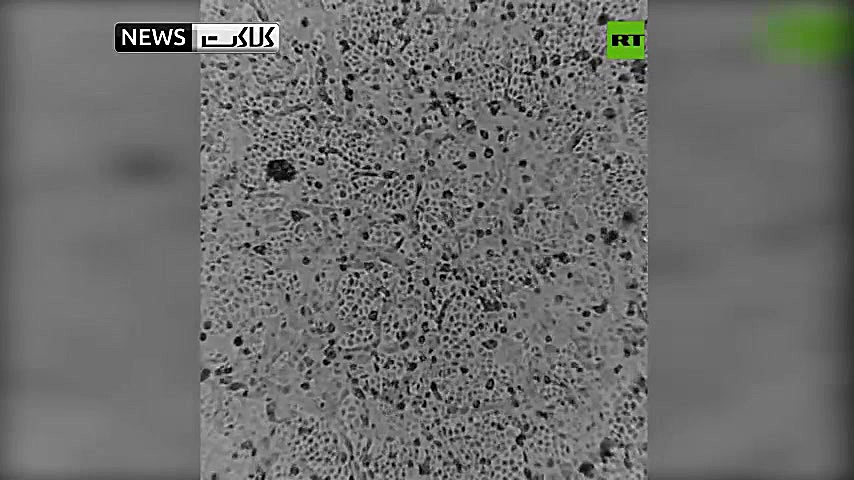 شیوه رشد ویروس کرونا
