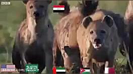 رابطه ی ایران و عراق از دید رس...