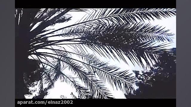 تور جزیره کیش