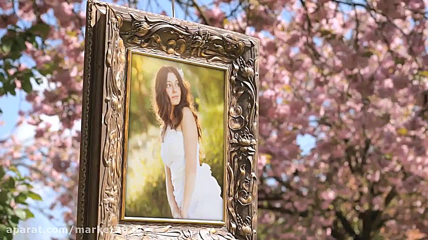 پروژه افترافکت اسلایدشو گالری...