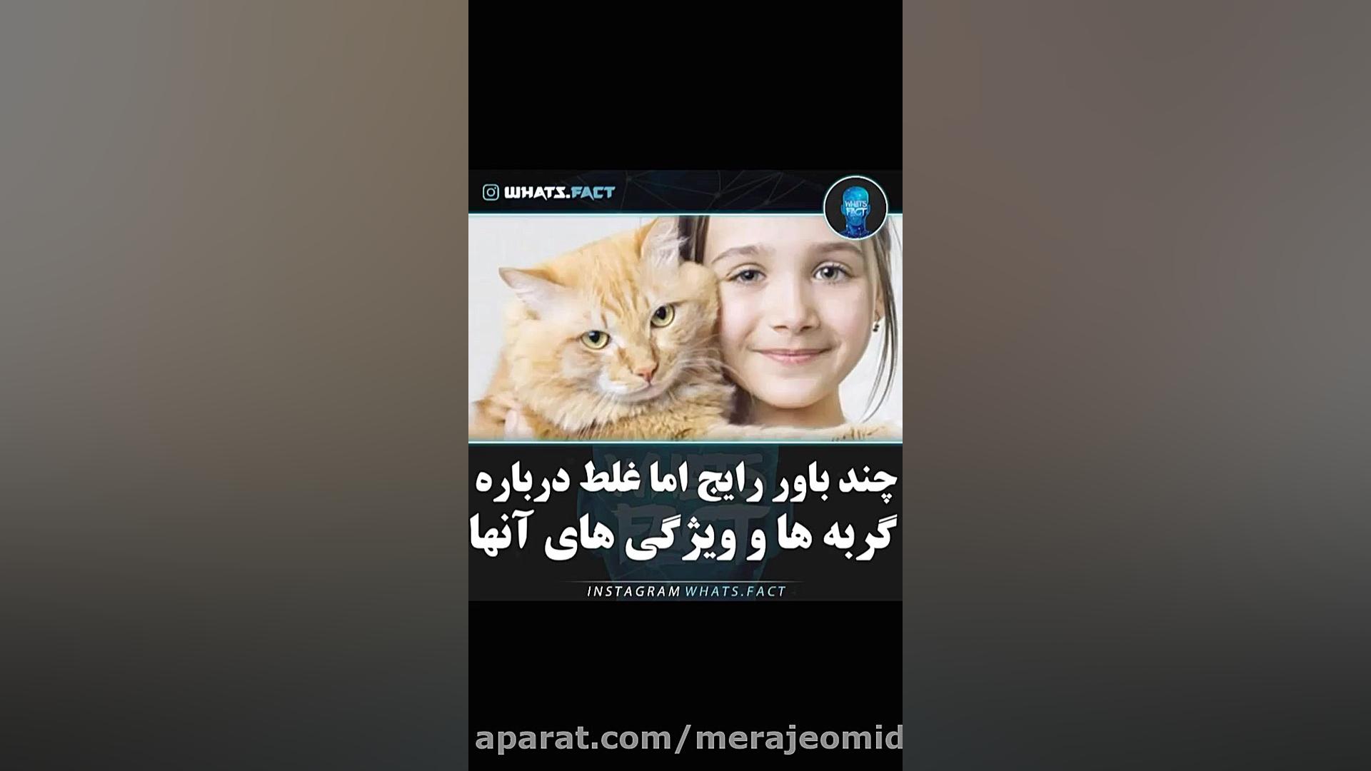 چند باور رایج اما غلط راجب گرب...