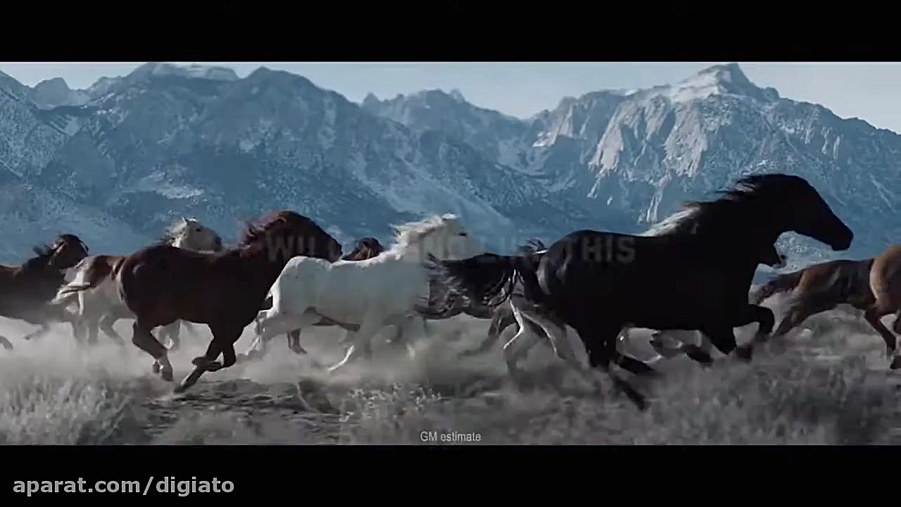 تیزر پیکاپ برقی هامر