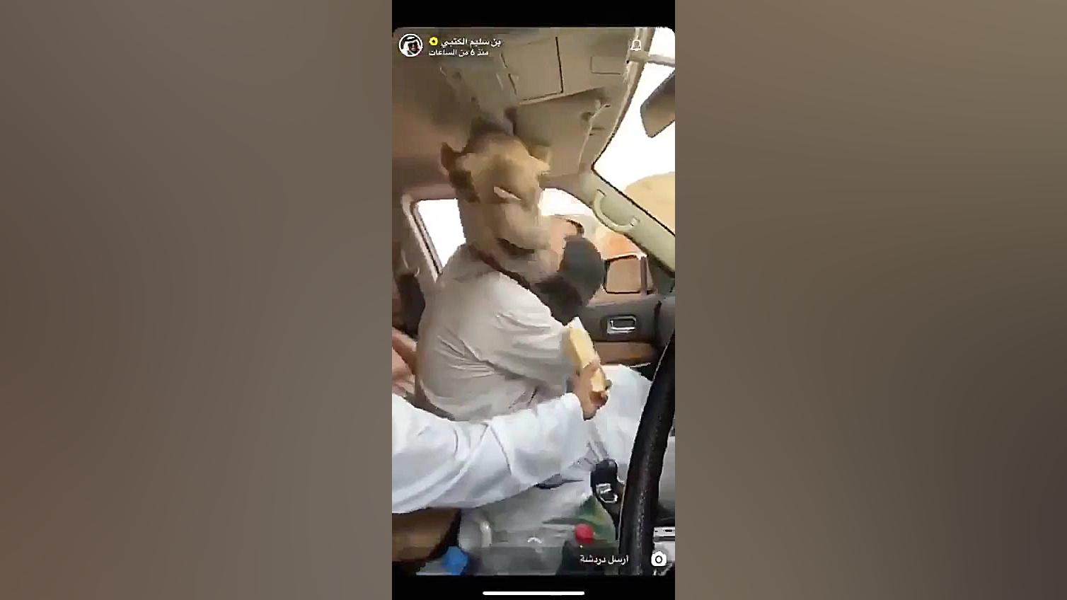 شوخی خرکی دو جوان عربستانی با...