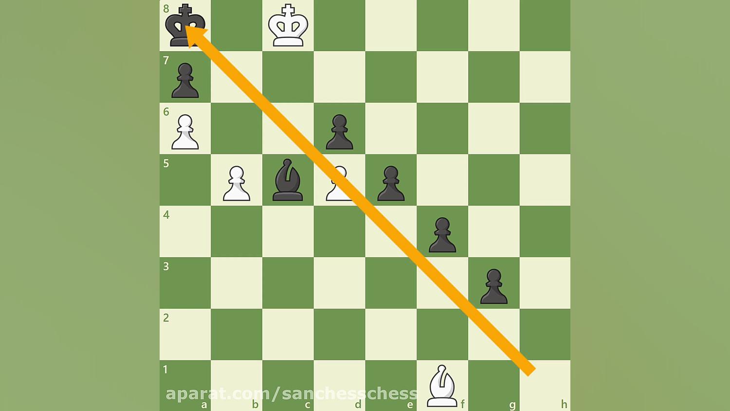 Opposite Colored Bishops in th...