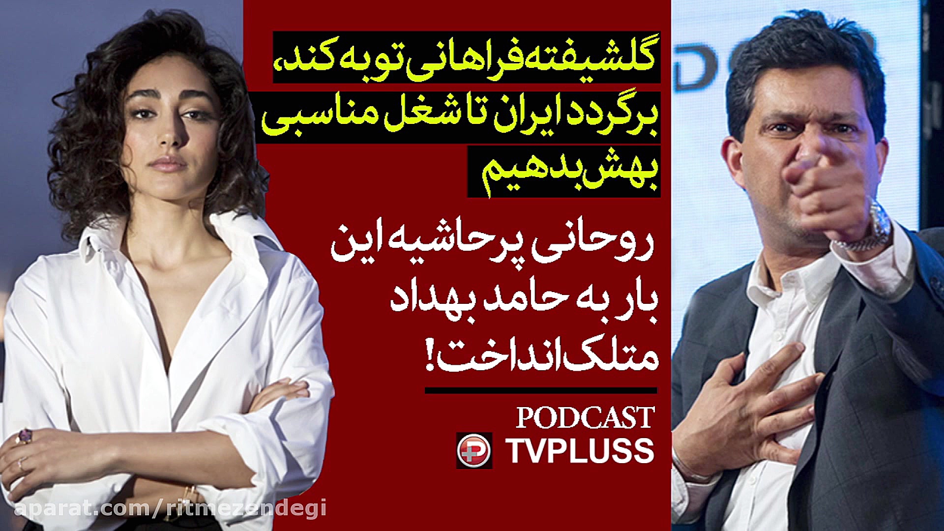 گلشیفته فراهانی توبه کند، برگر...