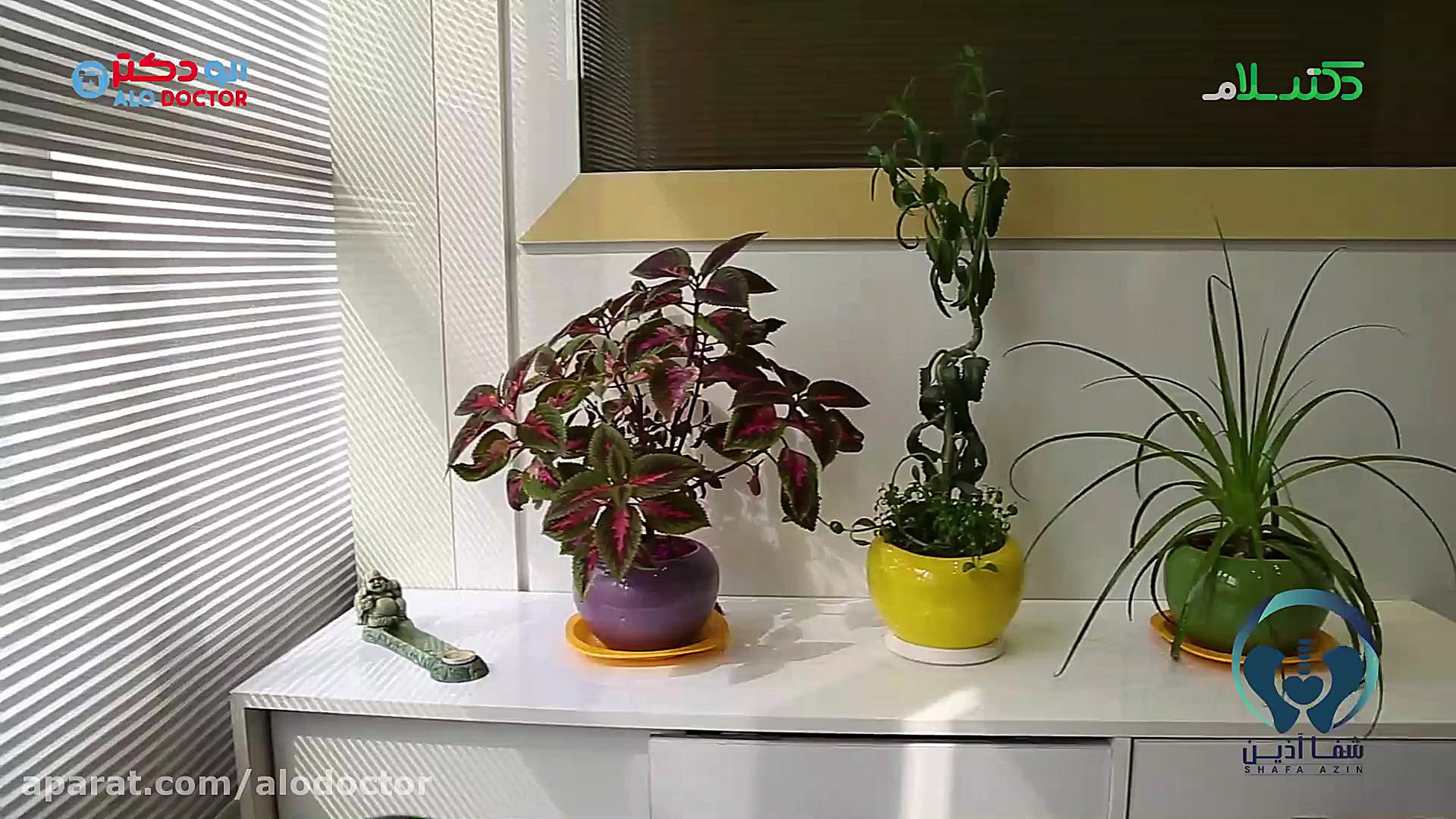 الو دکتر کلینیک ستون فقرات شفا...