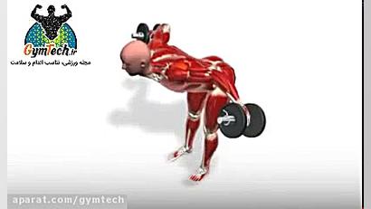 نشر خم دمبل