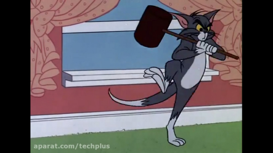 161