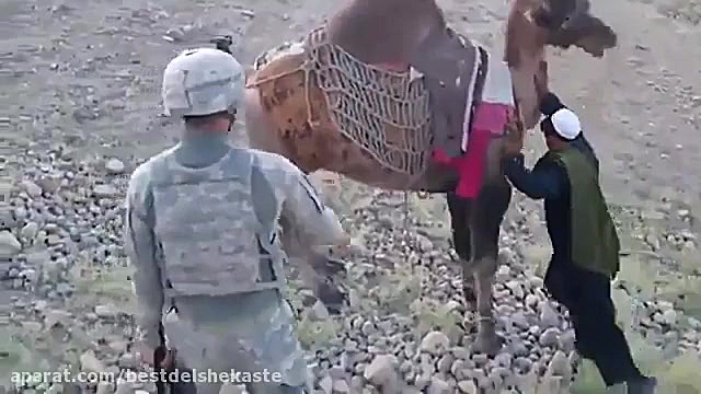لگد دیدنی شتر افغان به یک نیرو...