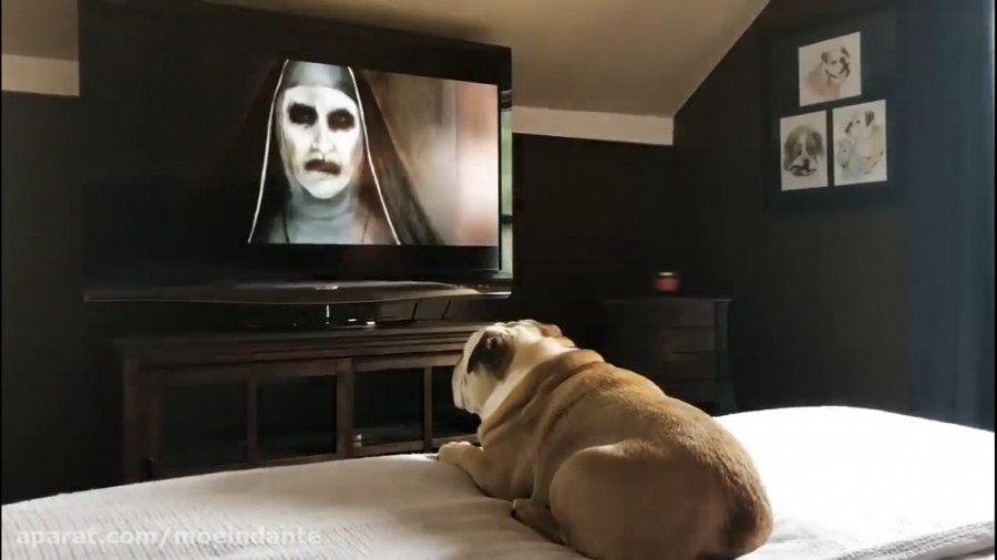 تماشا کردن فیلم ترسناک THE NUN...