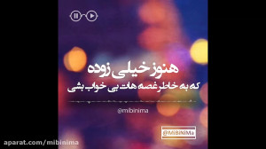 تکنوازی سنتور به همراه تکست گر...