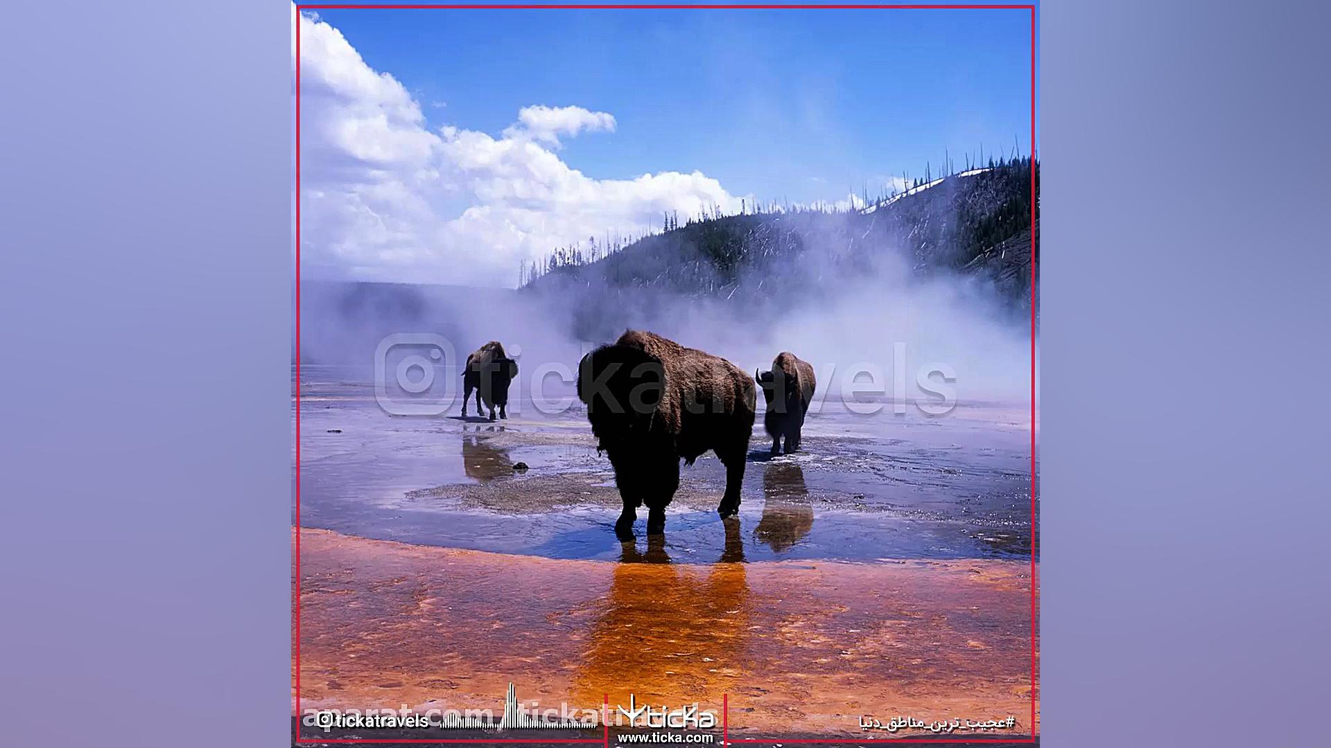 تیکا، سامانه جامع گردشگری