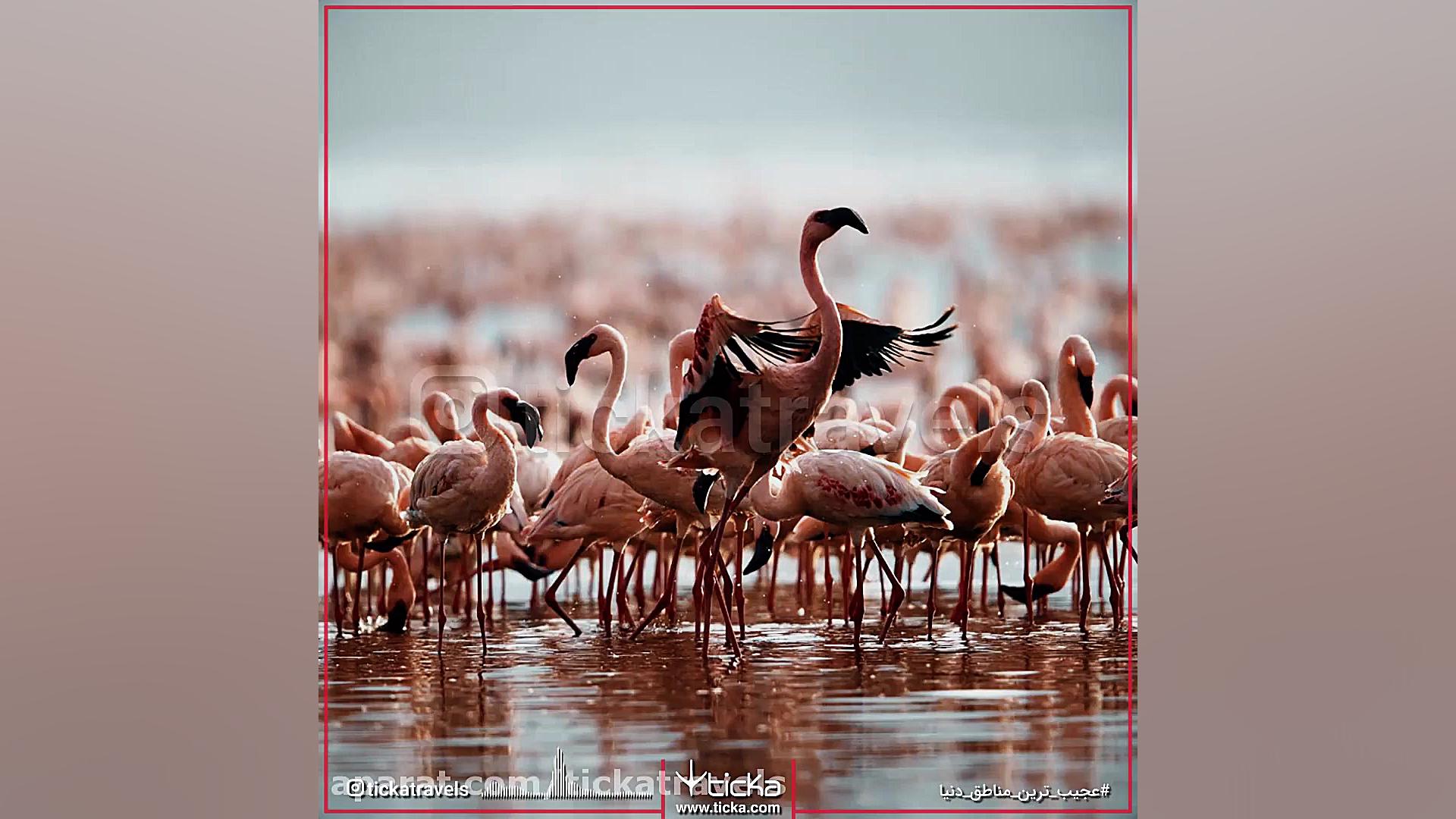 تیکا، سامانه جامع گردشگری