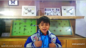 کنفرانس شناخت حشرات  پیش دبستا...