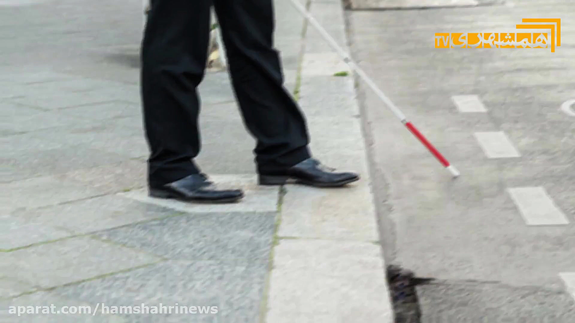 اکران فیلم‌های سی‌و‌هشتمین جشن...